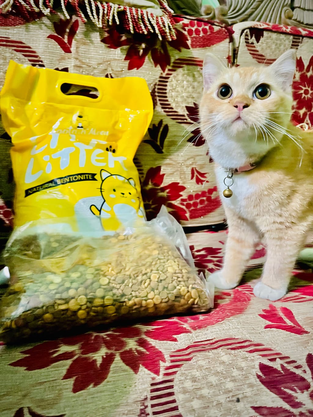 WhatsApp Image 2026-01-15 at 8.57.25 PM